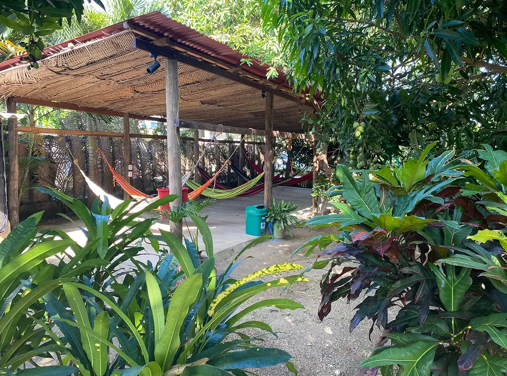 Chill Area View From The Garden