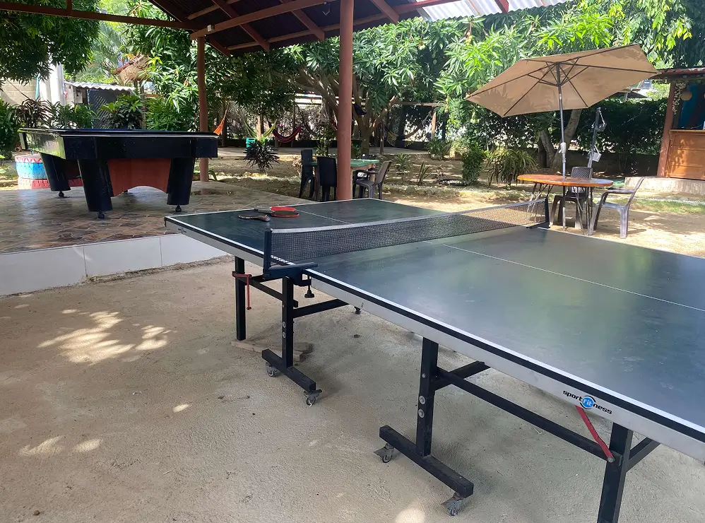 Closer Ping Pong Table View